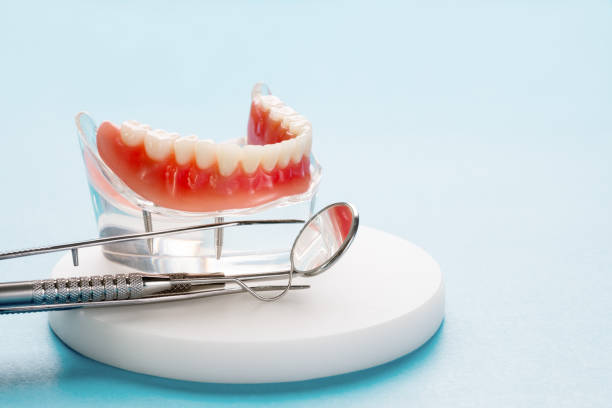 Best Periodontal (Gum) Disease Treatment  in Farmville, NC